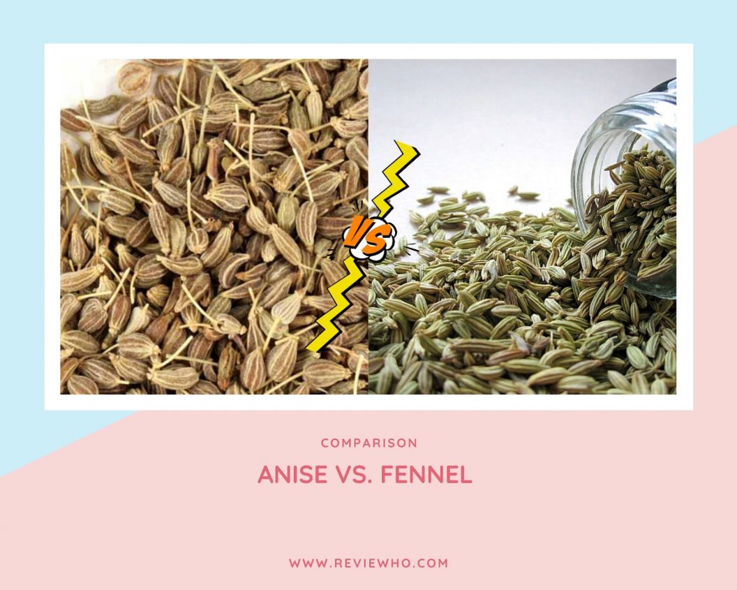 Difference Between Fennel And Anise | Reviewho