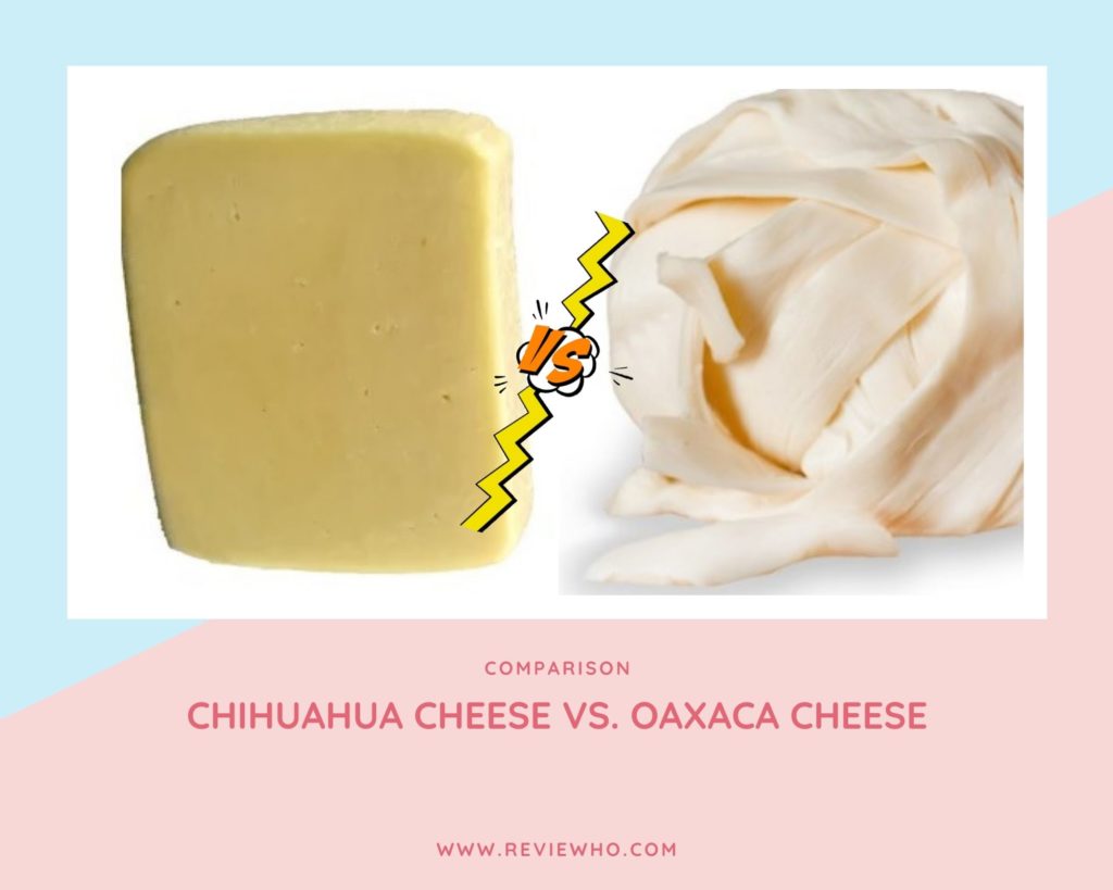 Difference Between Chihuahua Cheese And Oaxaca Cheese   Is Chihuahua Cheese Like Oaxaca Cheese 1024x819 